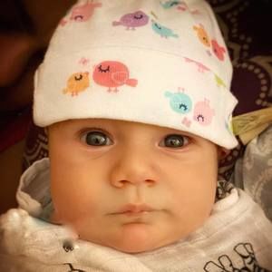 Meet your Posher, Félix